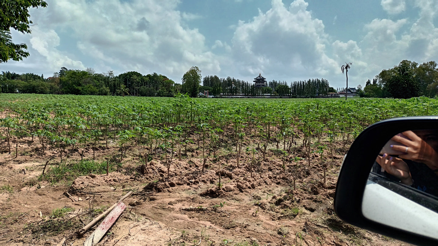 Land sale 38 rai 30 sqw, Mabprachan Lake, Siam Country Club area