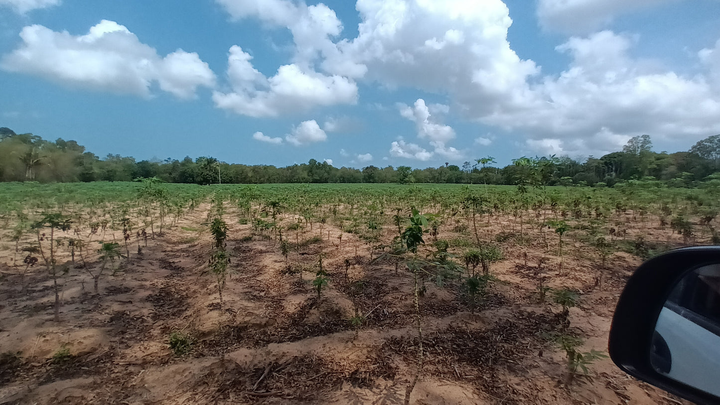Land sale 38 rai 30 sqw, Mabprachan Lake, Siam Country Club area