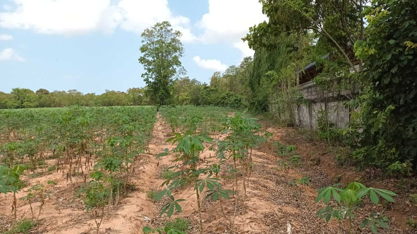 Land sale 38 rai 30 sqw, Mabprachan Lake, Siam Country Club area