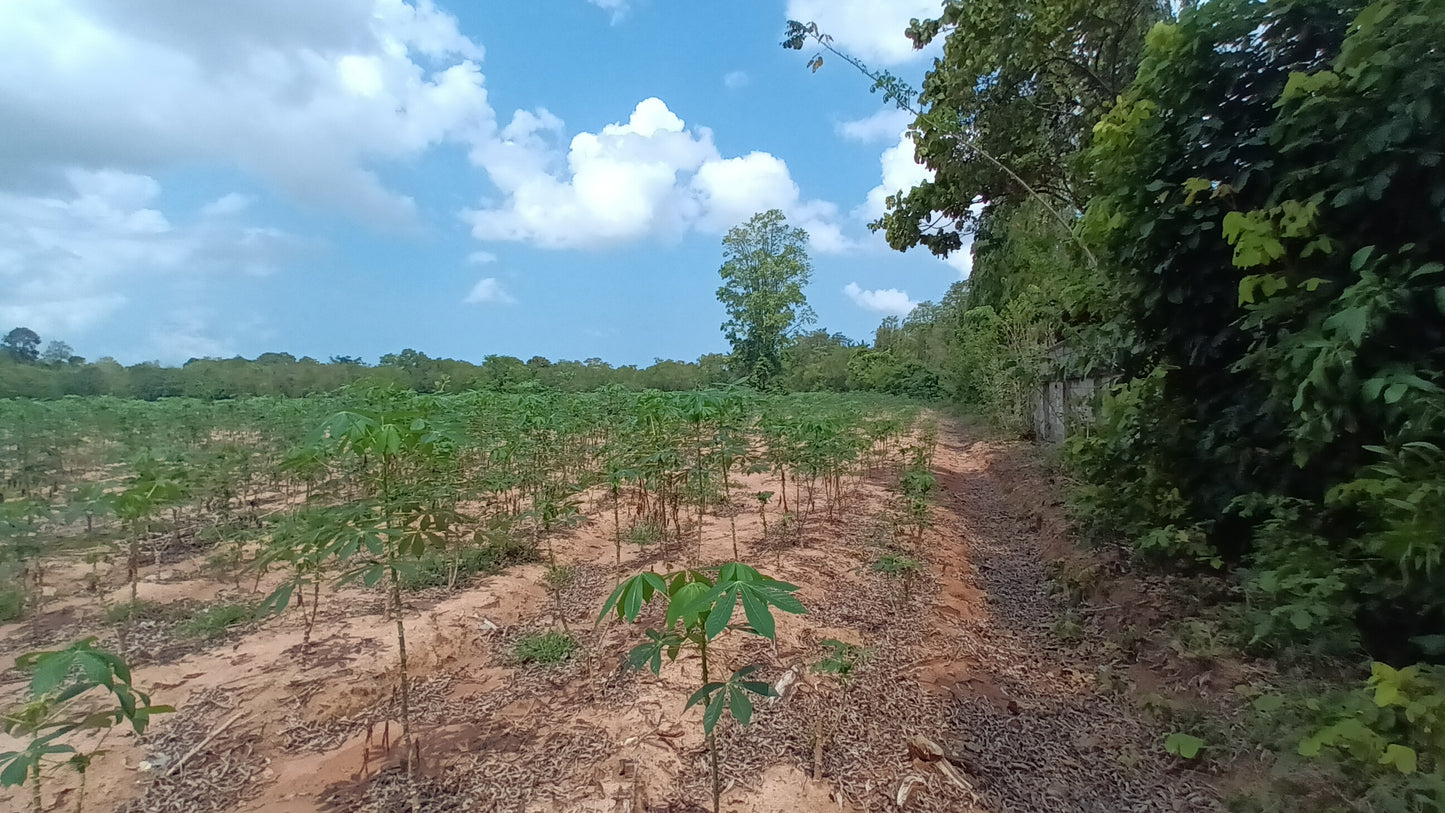 Land sale 38 rai 30 sqw, Mabprachan Lake, Siam Country Club area