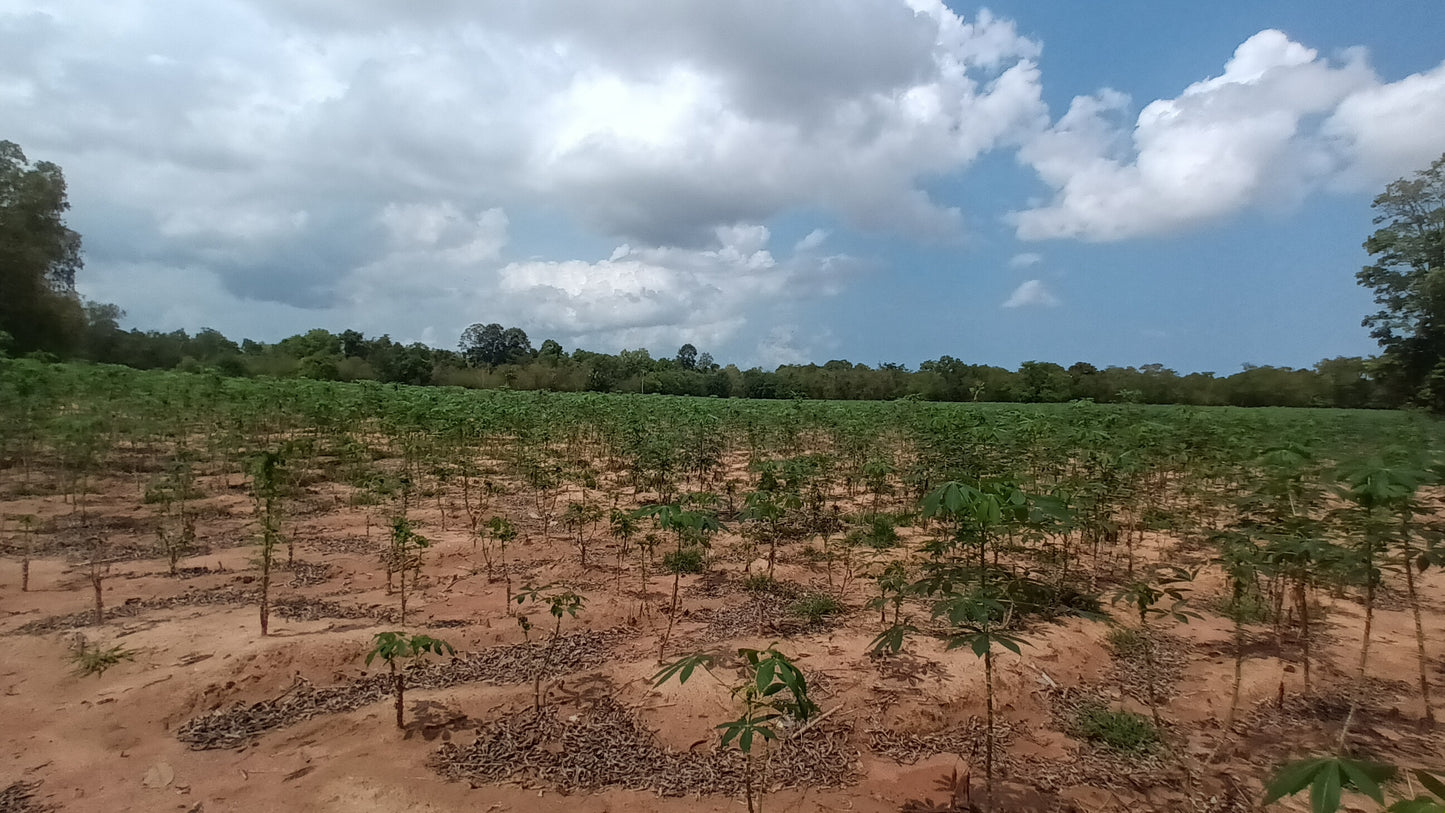 Land sale 38 rai 30 sqw, Mabprachan Lake, Siam Country Club area