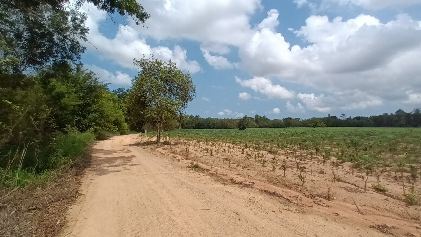 Land sale 38 rai 30 sqw, Mabprachan Lake, Siam Country Club area