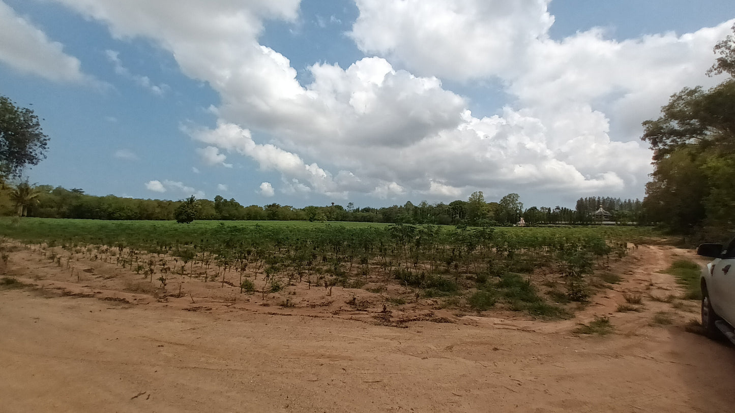 Land sale 38 rai 30 sqw, Mabprachan Lake, Siam Country Club area