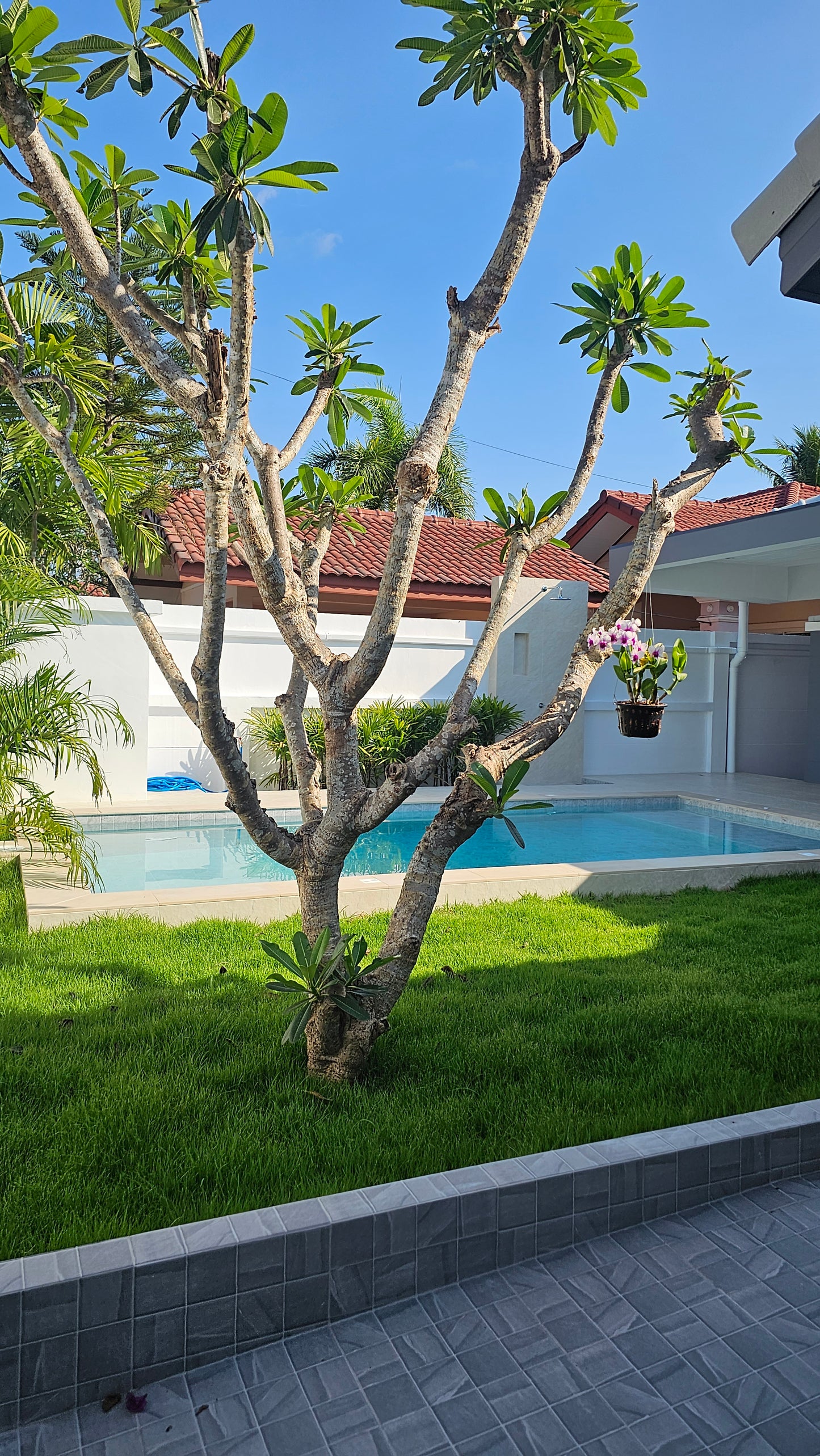 The Bliss, House with private swimming pool, 3 bedrooms, 2 bathrooms