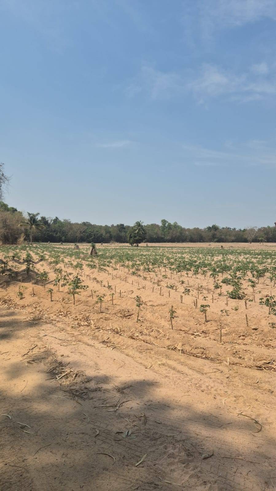 Land sale 38 rai 30 sqw, Mabprachan Lake, Siam Country Club area