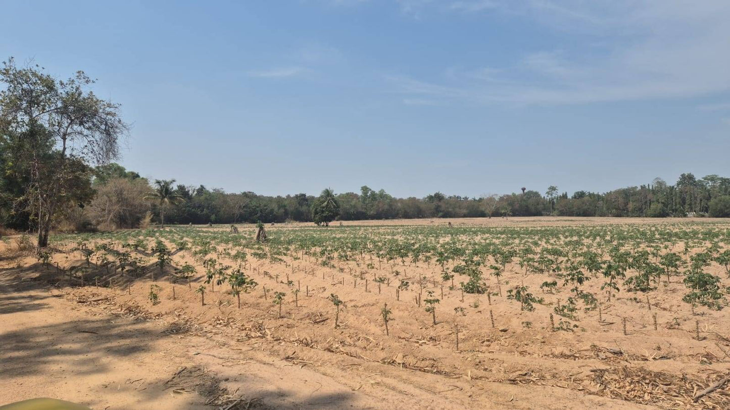 Land sale 38 rai 30 sqw, Mabprachan Lake, Siam Country Club area