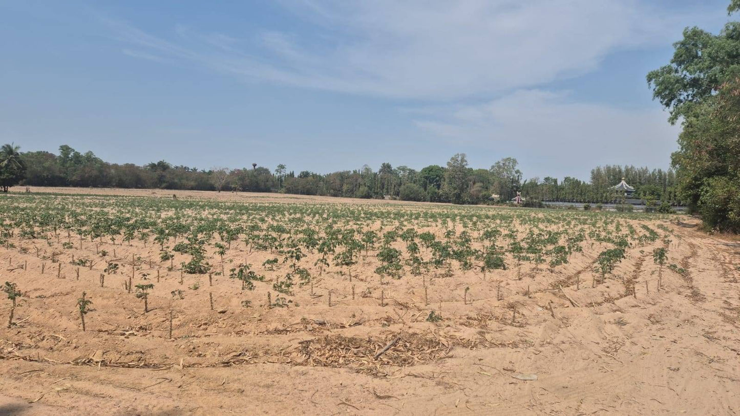Land sale 38 rai 30 sqw, Mabprachan Lake, Siam Country Club area