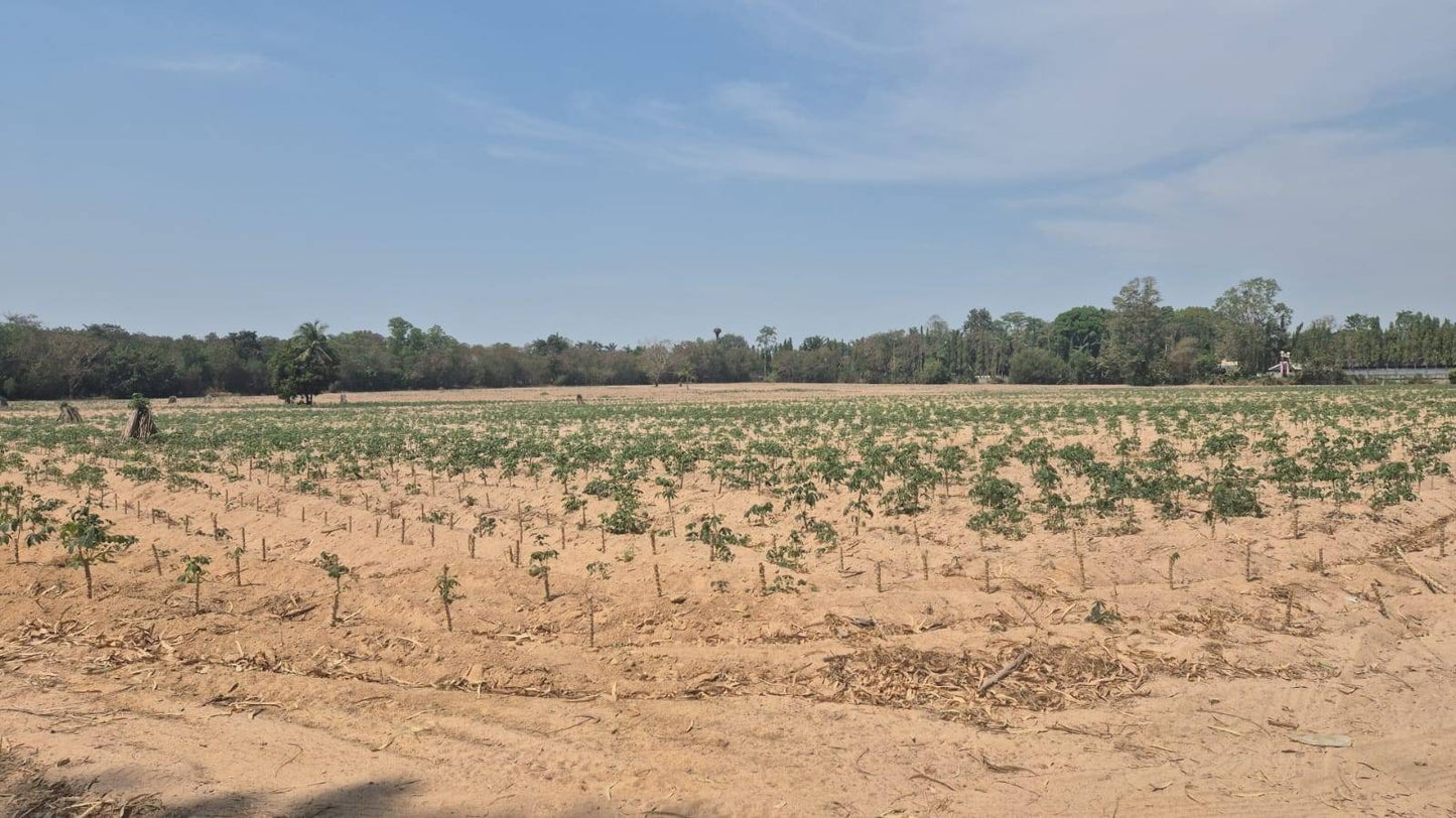 Land sale 38 rai 30 sqw, Mabprachan Lake, Siam Country Club area