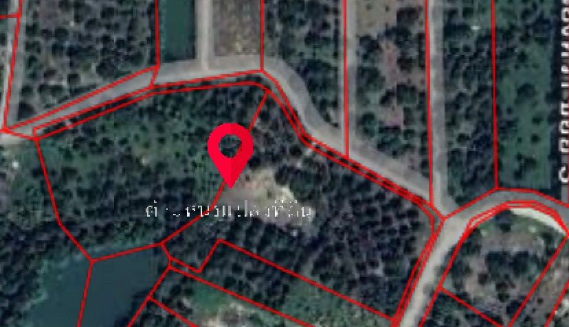 Land for Sale in Rayong, Durian and Mangosteen Orchards 5 Rai+