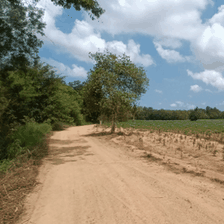 Investment Land